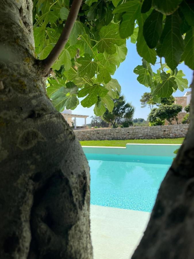 Masseria Baroni Di Montesardo Lido Marini Dış mekan fotoğraf